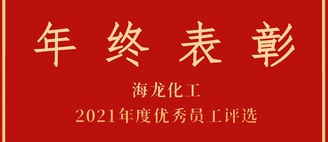 <strong>表彰！海龍化工2021年度優(yōu)秀員工優(yōu)秀部門評選</strong>