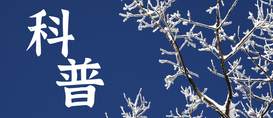 科普 | 冬季雨雪天氣?；愤\(yùn)輸車輛注意事項(xiàng)
