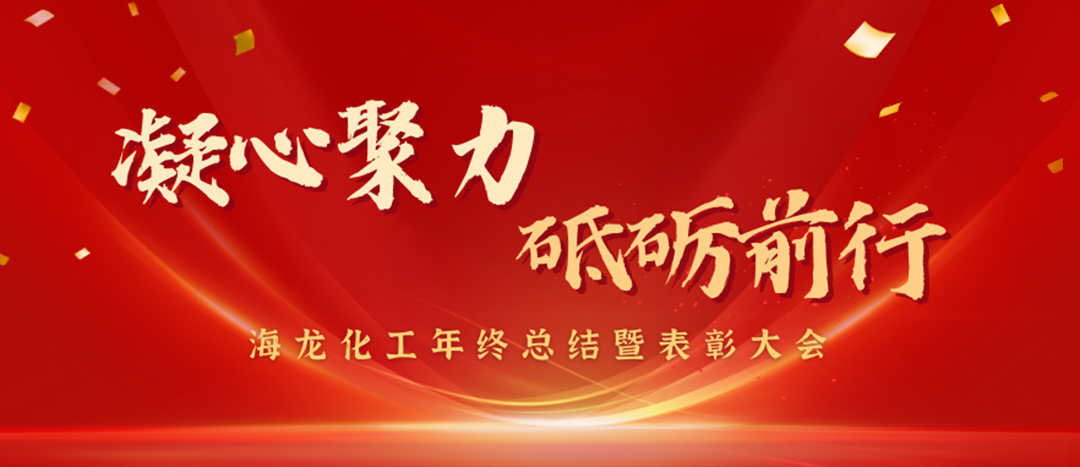 表彰 | 凝心聚力，砥礪前行，海龍化工年終總結(jié)暨表彰大會(huì)圓滿舉行